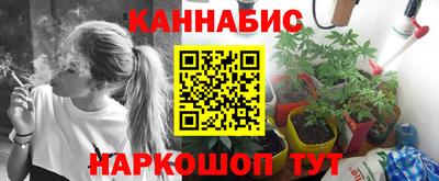 СК Будённовск