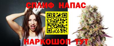 СК Будённовск