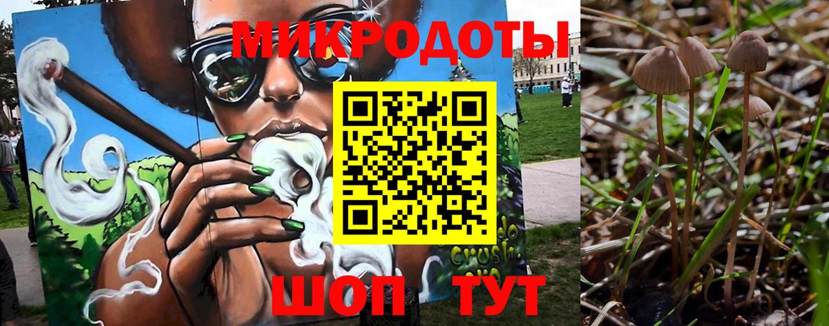 Галлюциногенные грибы Cubensis  Вход с VPN  Симферополь 